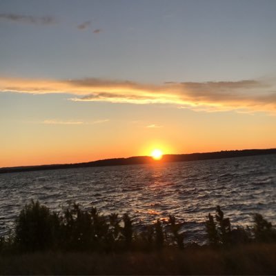 PhepherG's profile picture. A grower from northern Michigan 
Medical patients and 21+
Exotic buds 
Stay high stay lifted