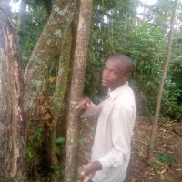 SIMON JUMA (@simon_juma1) 's Twitter Profile Photo SIMON JUMA (@simon_juma1) 's Twitter Profile Photo