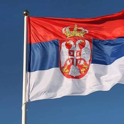 zeljkoshhh's profile picture. 