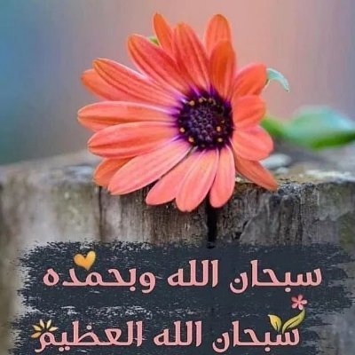 عبد الحافظ داود
خريج رياضيات في جامعة الطفيلة التقنية
ماجستير رياضيات جامعة الزرقاء
و طالب علوم شرعية في معهد الدين القيم
