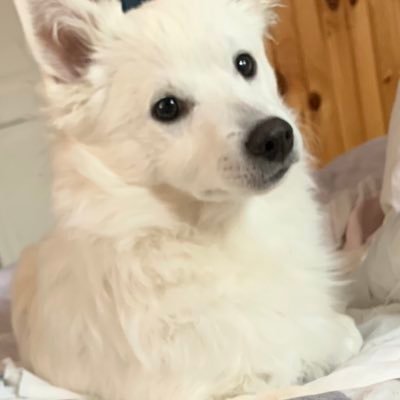 McKin76's profile picture. 