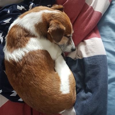 ArronEvans13's profile picture. Passionate about History and Politics