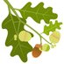 acorn2oakceremonies (@acorn2oaksheff) Twitter profile photo acorn2oakceremonies (@acorn2oaksheff) Twitter profile photo