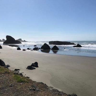 AmandaJBrass's profile picture. 