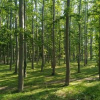 Eva Amargant Tixis (@e_a_t77) 's Twitter Profile