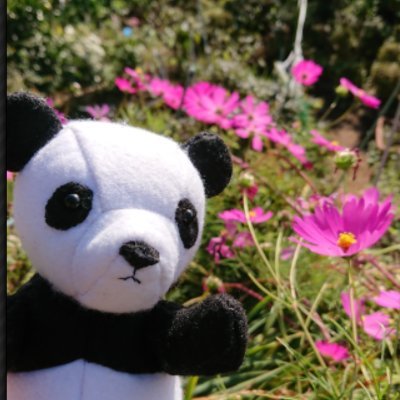 93さんのプロフィール画像