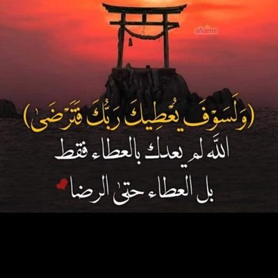 شركه الرومنسيه المحدوده