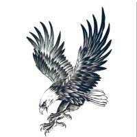 Patriotic Paladin (@markericson3) 's Twitter Profile