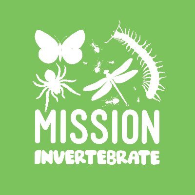 On a mission to protect invertebrates in London's @TheRoyalParks thanks to @PostcodeLottery mission.invertebrate@royalparks.org.uk #MissionInvertebrate