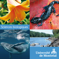 Biologie UdeM (@biologieudem) 's Twitter Profile Photo Biologie UdeM (@biologieudem) 's Twitter Profile Photo