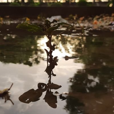 JayDeep12058269's profile picture. 