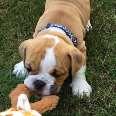 hanlon_keri's profile picture. Listen, learn and love...three rules to live by, good life advice to heed. Follow your passion! Proud to be an administrator in @deltasd37