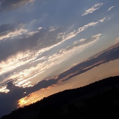 kessesinimks's profile picture. 