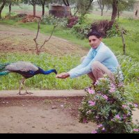 Mahesh Bhakrot(@Mahesh_gadhora) 's Twitter Profile Photo