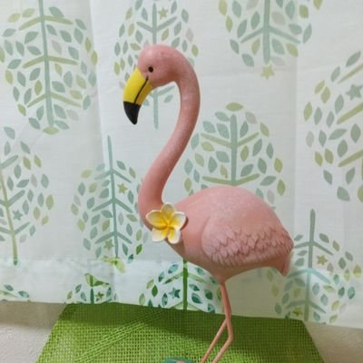 gMCsnCSddHdkhtN's profile picture. 