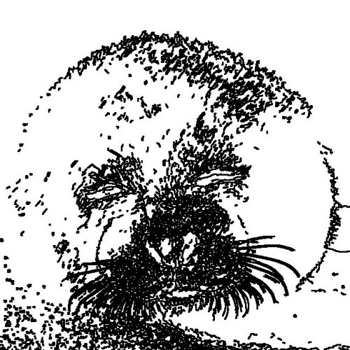 c883R's profile picture. 趣味はバイクで神社・仏閣巡りの親父です。今回の震災で昔バイクで走った風景が壊されてしまい、悔しい気持ちでいっぱいでsu