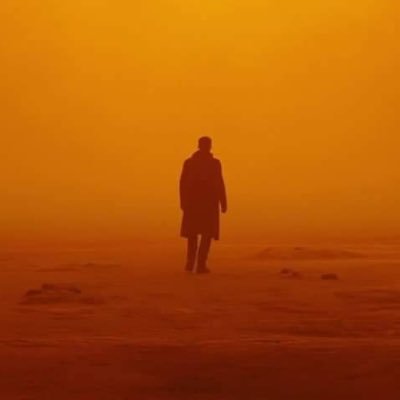 morganelli6's profile picture. 