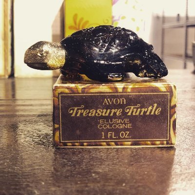 Seek the golden turtle head to find truth