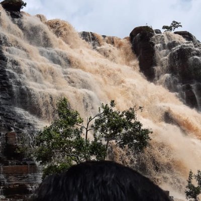 jonas1360's profile picture. 