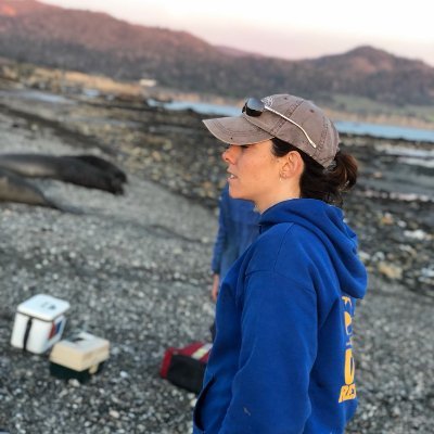 She/Her, PhD Ecology, MS Oceanography, Researcher at UC Santa Cruz studying marine heatwaves, pinniped foraging behavior, habitat use, and reproductive success.