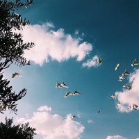 نوف .. (@yanosaom) 's Twitter Profile