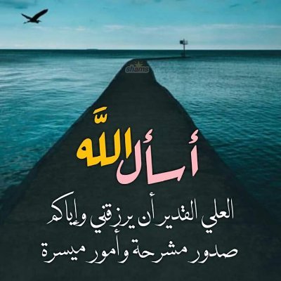 algory20000's profile picture. ربي اني مسني الضروانت ارحم الراحمين