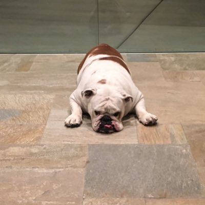 randal_cone's profile picture. 