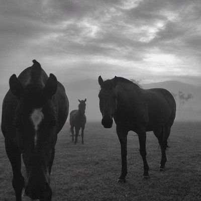 Murad91811170's profile picture. Hayat bazen kaybettiğin yerden başlar...