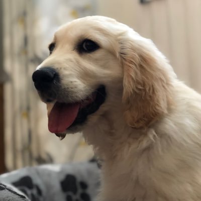 AlexDucker2's profile picture. 