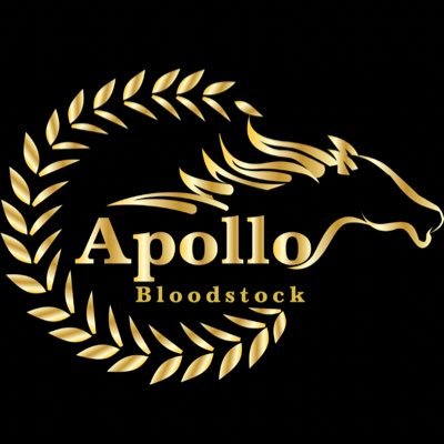 Apollo Bloodstock Contact Fearghal Hogan +353857385491 Apollobloodstock@gmail.com