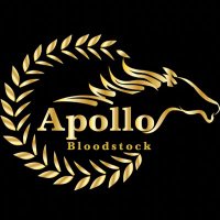 Apollo Bloodstock (@apollobloodsto1) 's Twitter Profile