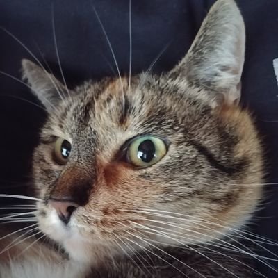 Simonasju's profile picture. 