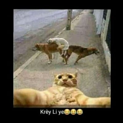 leta3112's profile picture. peyi a