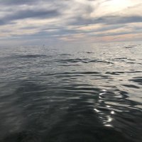 Jorsh⚡️ (@jorshcr) 's Twitter Profile Photo