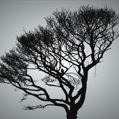 DAAMAND2's profile picture. 