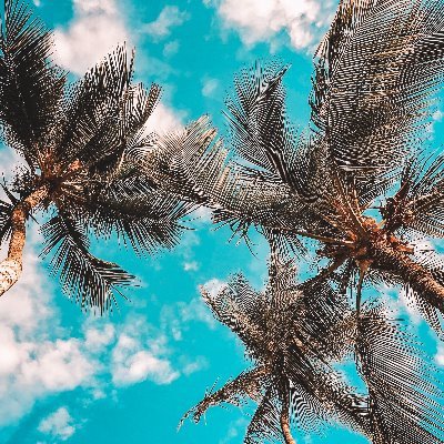 motivationblog1's profile picture. Lorsqu'il fait gris, souris car soit en sur le soleil n'a pas disparu a tout jamais :)