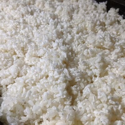 静岡で米と糀を扱う小さなお店に婿入りました。糀作りの修行中。五代目になりました。麹、米・・素人っス。マイペースに米、麹に関わり日々過ごしています。