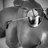 mile_amfibija's profile image