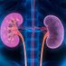 U of T Nephrology (@uoftnephrology) Twitter profile photo U of T Nephrology (@uoftnephrology) Twitter profile photo