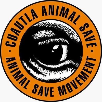 Animal Save Movement es un movimiento mundial de justicia animal basado en los principios de igualdad y libertad de los animales.

cuautlaanimalsave@outlook.com