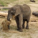 Sue Lunt - @SmileySueL - Twitter