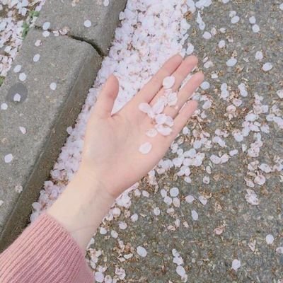 花道 Diemplayer Twitter 花道 Diemplayer Twitter
