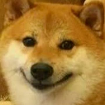 FakeWentox's profile picture. 