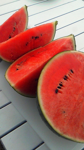 tokitime's profile picture. 本と建築が好きです。能も。