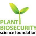 Australian Plant Biosecurity Science Foundation (@plantaustralian) 's Twitter Profile