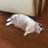 hidehirotのアイコン