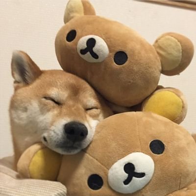 smol_di's profile picture. loading...