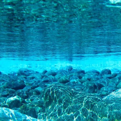 Gn4zJVolfL8CPvM's profile picture. 独り言いろいろ