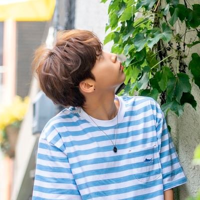 mini4hoさんのプロフィール画像