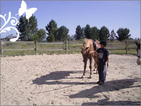 ECOverstrand's profile picture. Equestrian Centre Overstrand(Equestrian Centre Arabella) established 6 years ago in the beautiful scenic area of Kleinmond positioned along the Botriver lagoon.